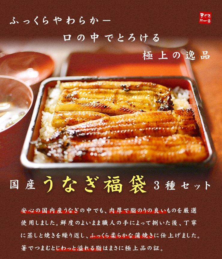 国産うなぎ福袋 蒲焼き 肝串 きざみうなぎ タレ・山椒つき 《not-du1》〈ue1〉yd9[[国産うなぎ福袋]