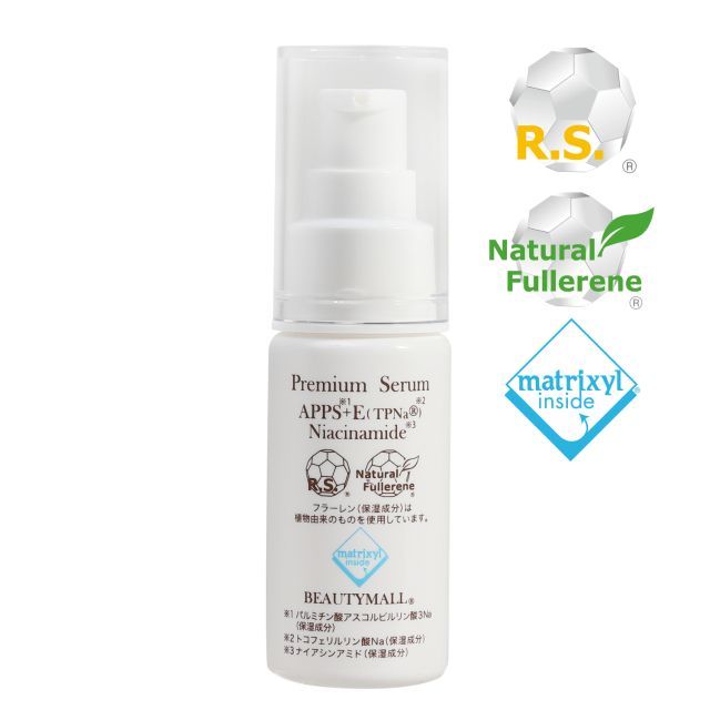 1989 エネスコブランブリーヘッジ スノードームスノーグローブ