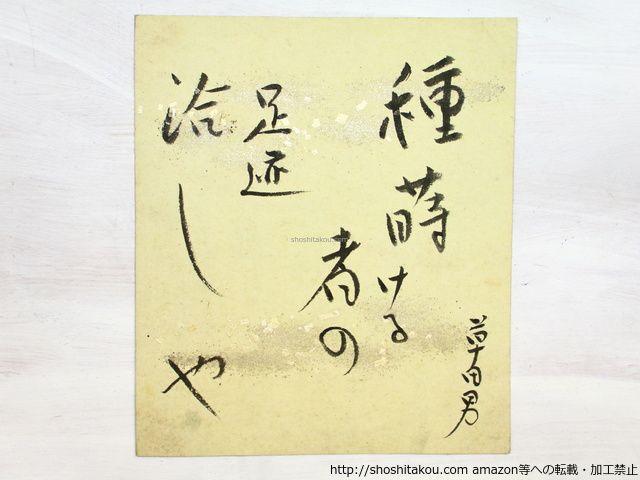 中村草田男小色紙*34675