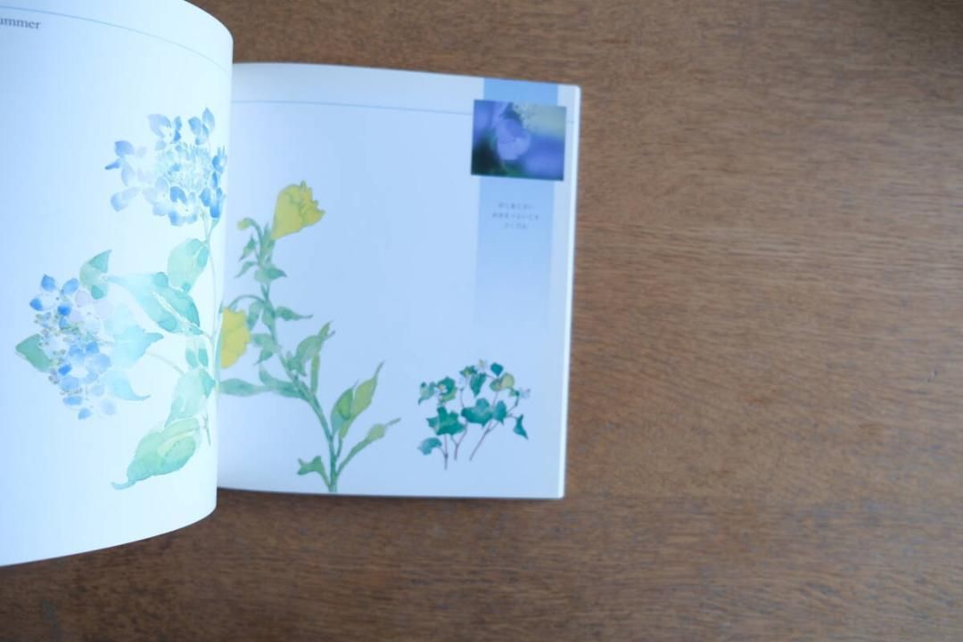 深沢紅子野の花美術館軽井沢 since 1996.7.27 深沢紅子野の花美術館軽井沢 since 1996.7.27 - メルカリ