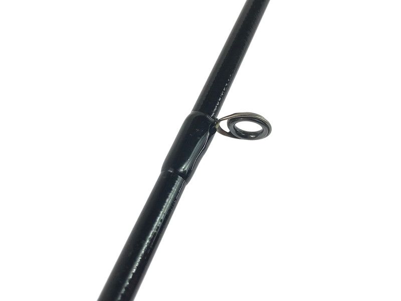 エバーグリーン