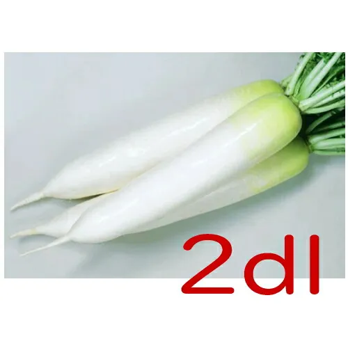 入荷次第出荷】カネコ種苗 YR直秋 購入 大根 2dl