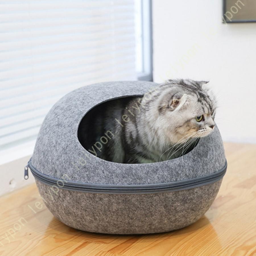 ユニバーサルスタジオ本　チャレンジカード付 USJチャレンジャーカード