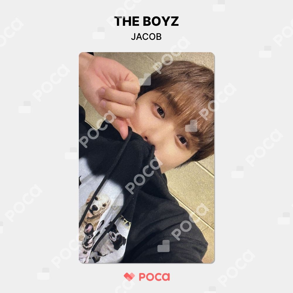 The Boyz Roar ミニレコード ヒョンジェ トレカ Amazon.co.jp: THE BOYZ ドボイズ ROAR ミニレコード うさぎ