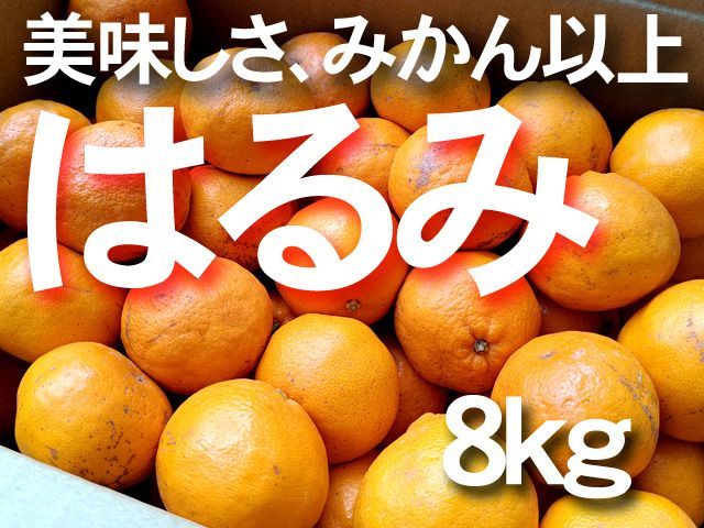 ご家庭用 愛媛産 はるみ 約8ｋｇ1箱 スポット品