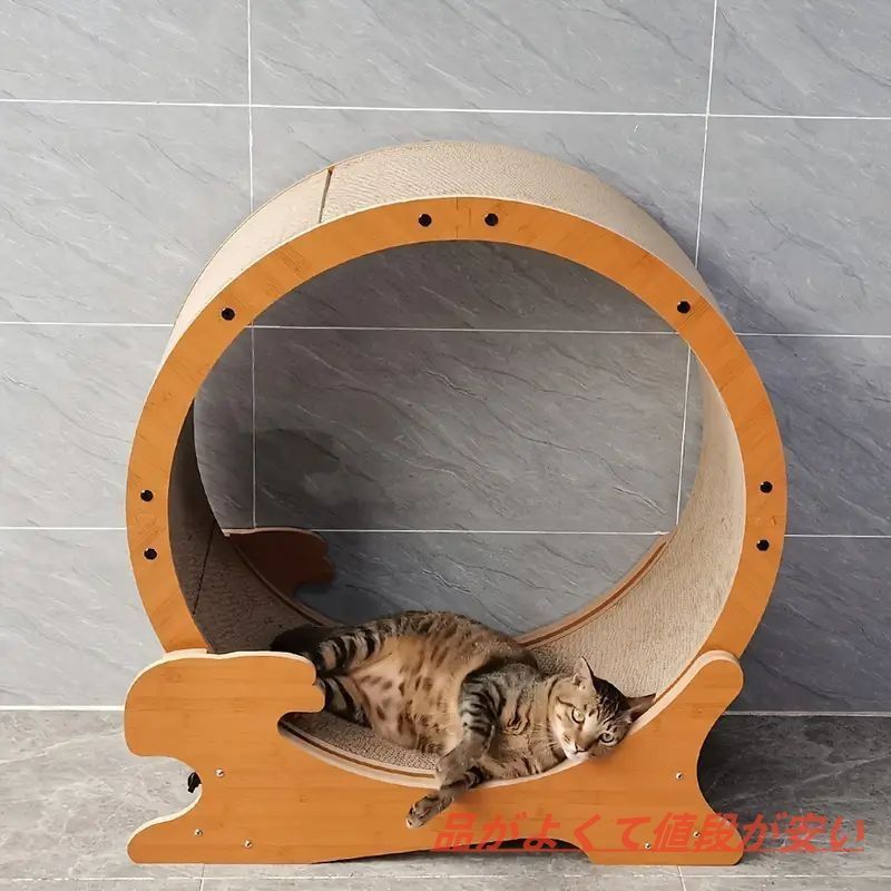 多頭飼い 猫用