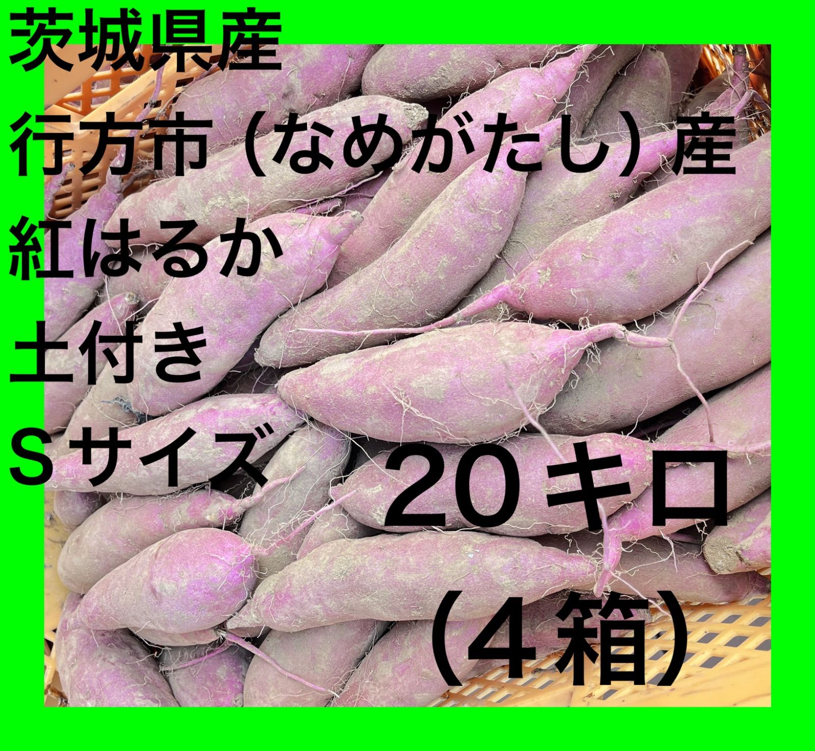 新品】茨城県産紅はるか 20kg 焼き芋向き 土付き - メルカリ