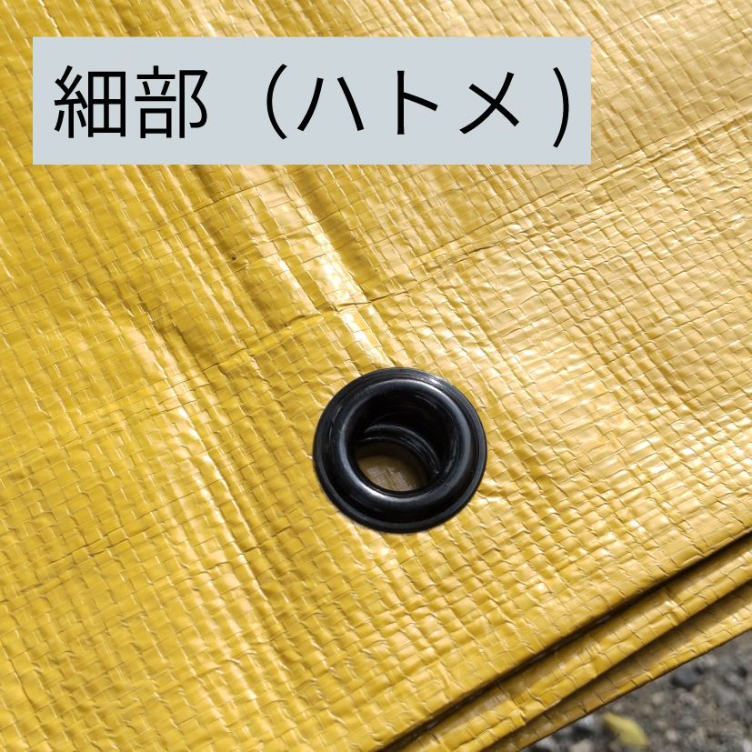 のサムネイル