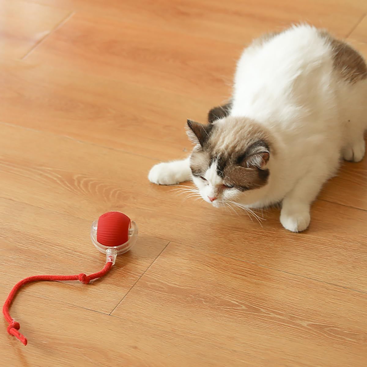 動く猫ボールおもちゃ USB
