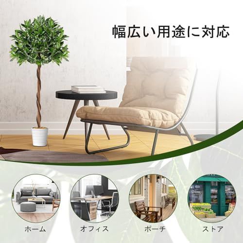 盆栽植物