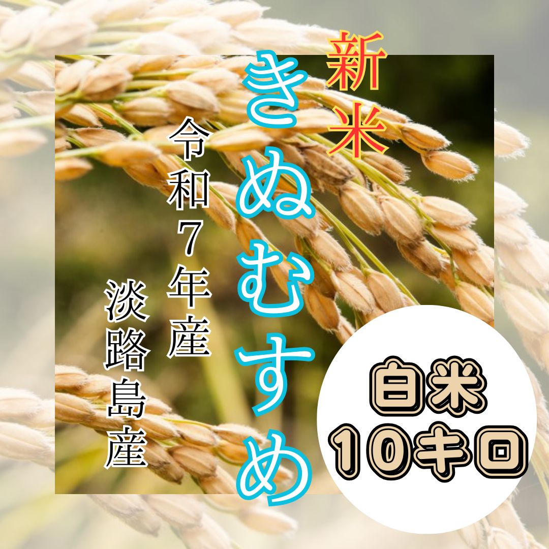 新米 令和7年産 きぬむすめ 白米10キロ 淡路島産 産地直送