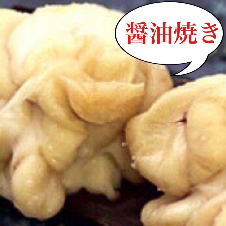 北海道産　真鱈白子　１kg-2