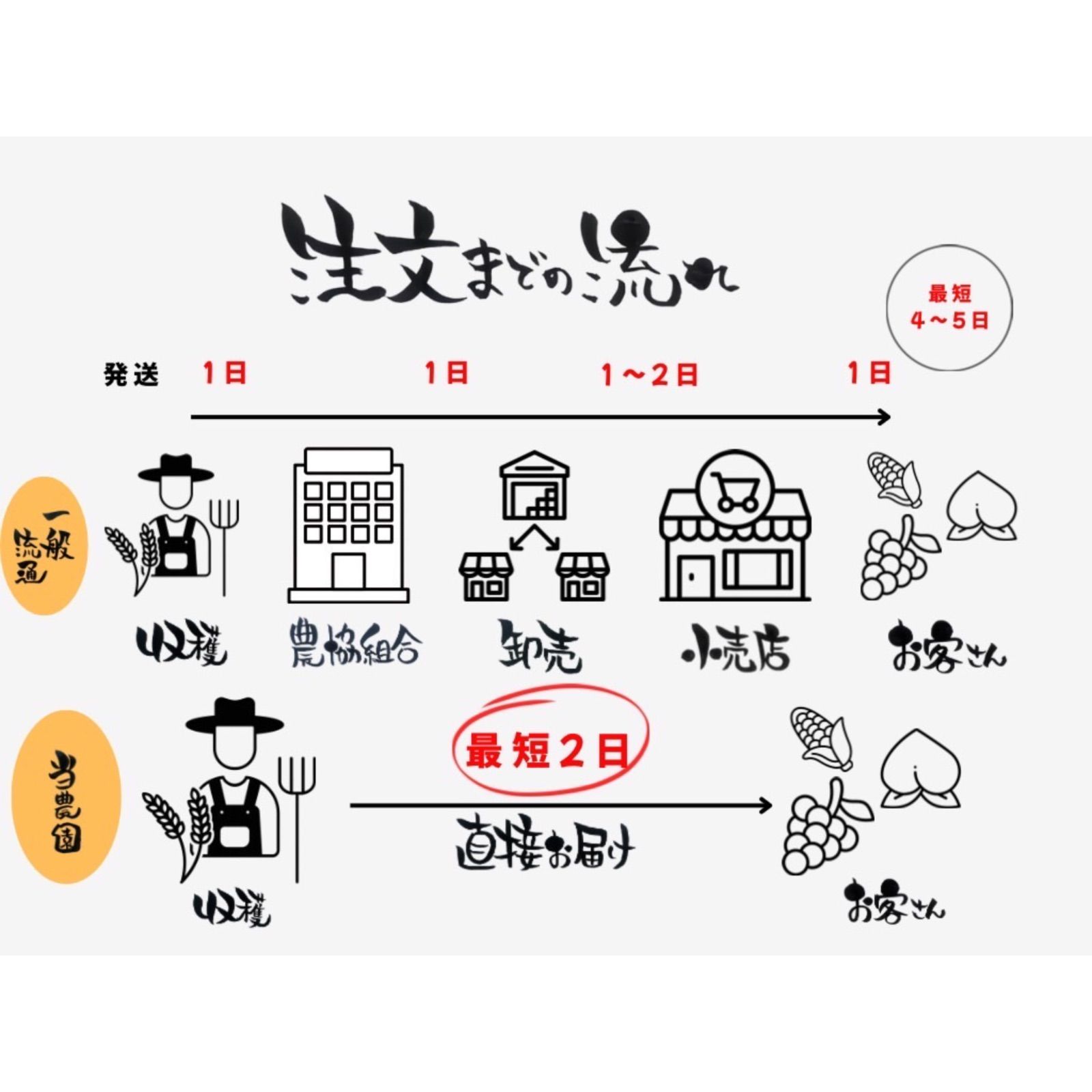 100本セット｜皮付き