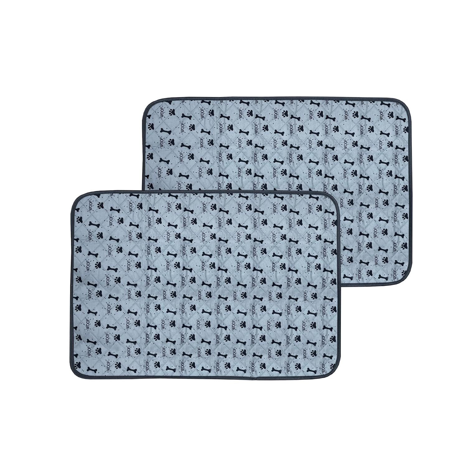 Zippo GNOSIA グノーシア ラキオ ライター 本体