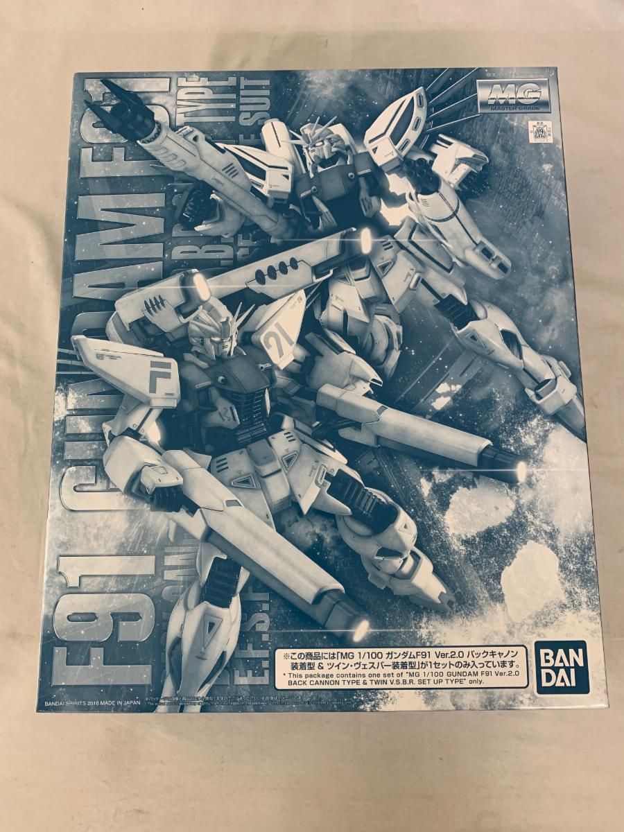 熱帯植物 リンコピレsp.シンタン [SF0925-01] 黒葉