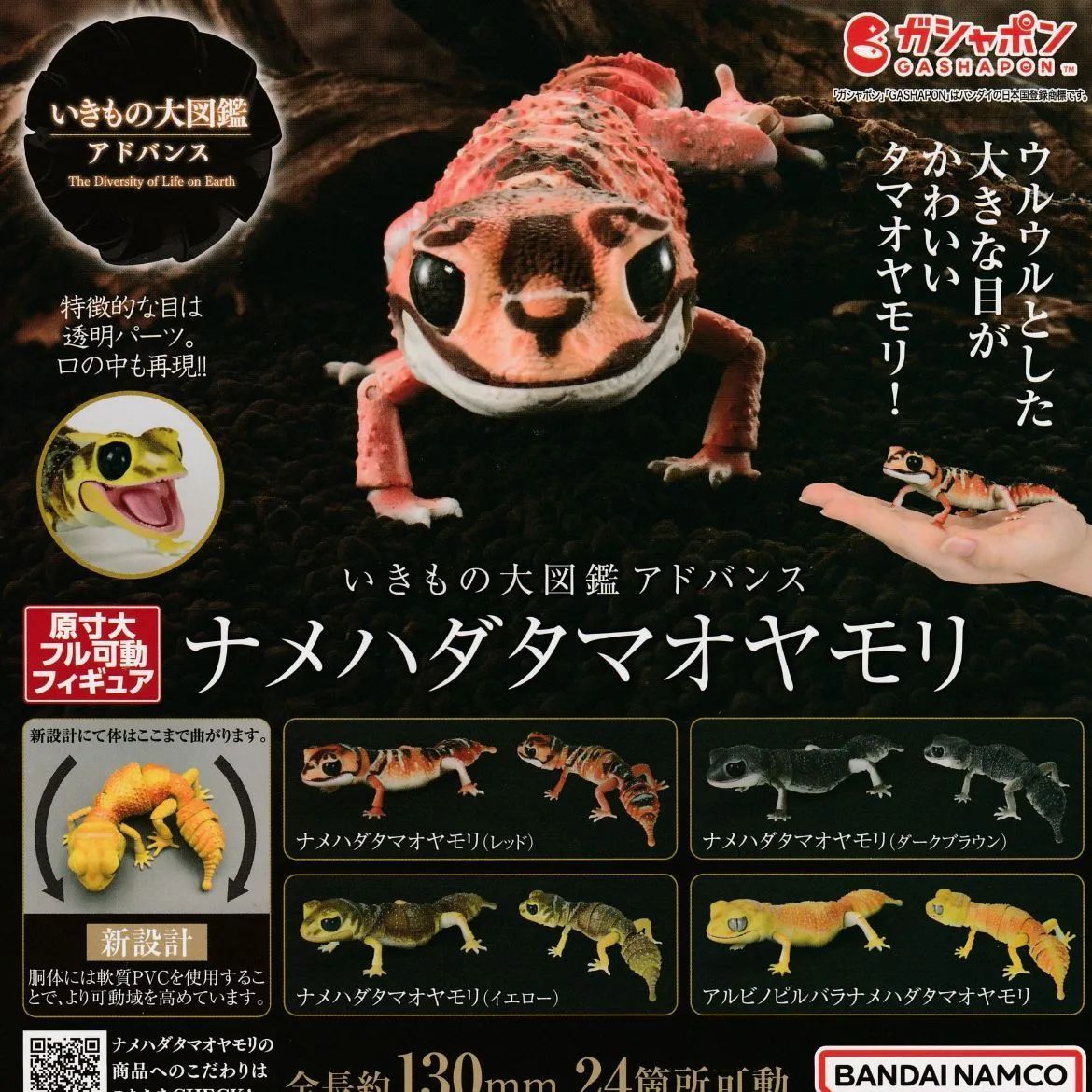 いきもの大図鑑レプティ ナメハダタマオヤモリとレオパ