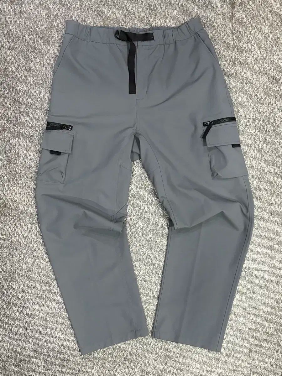 Carhartt カーハート wip ELM 木材 パンツ