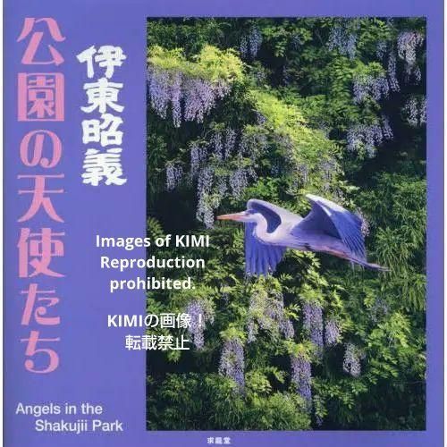 伊東昭義 公園の天使たち 大型本 2023/4/21 伊東昭義 (著) 求龍堂