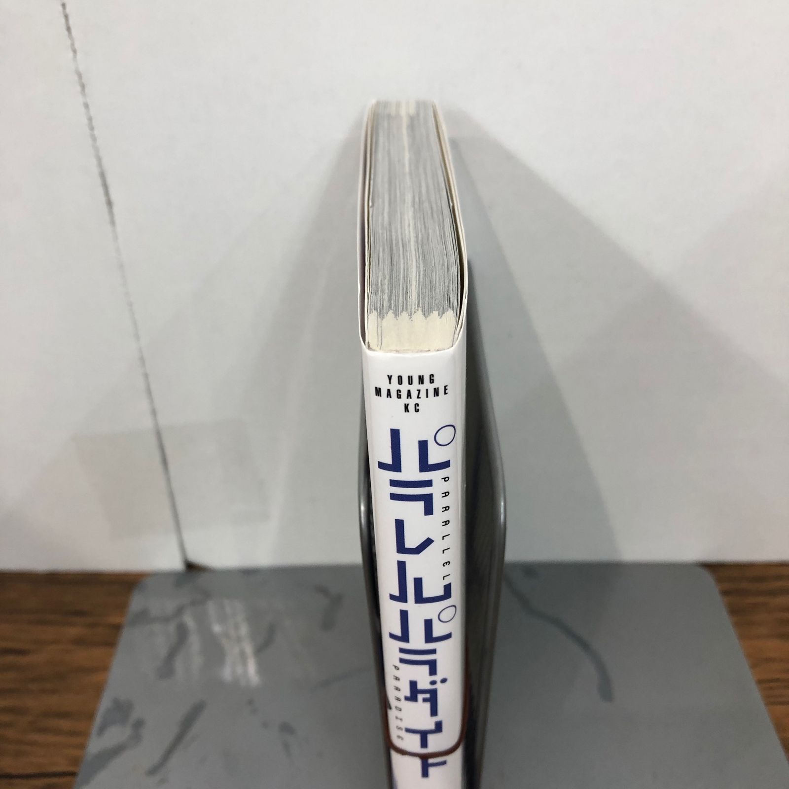 初版』パラレルパラダイス 13巻/【作者】岡本倫/GF-0225023254-YP