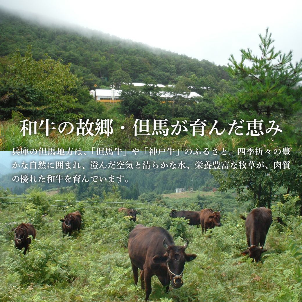 しゃぶしゃぶ用 ギフト