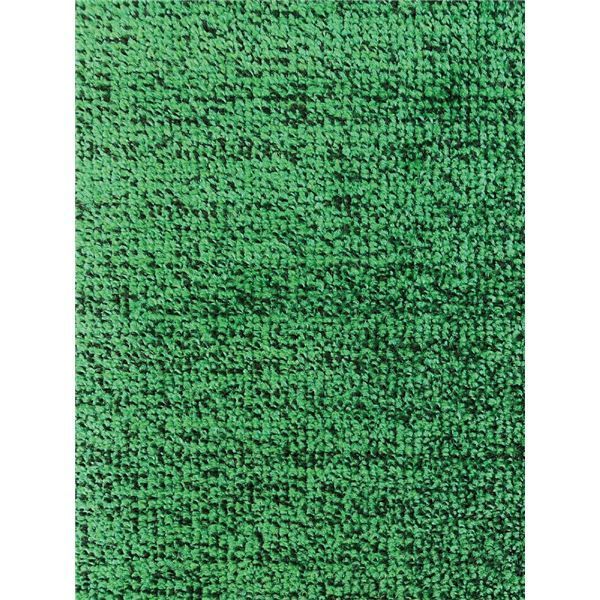 吸塵 吸水マット グリーン 約80x120cm