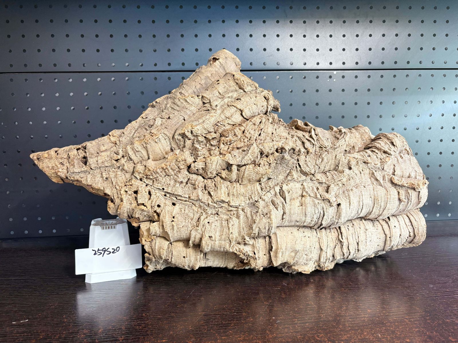 バージンコルク