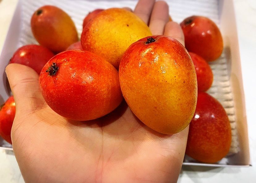 タイムセール！沖縄県産、産地直送【完熟ミニマンゴー】3Kg(30個前後)