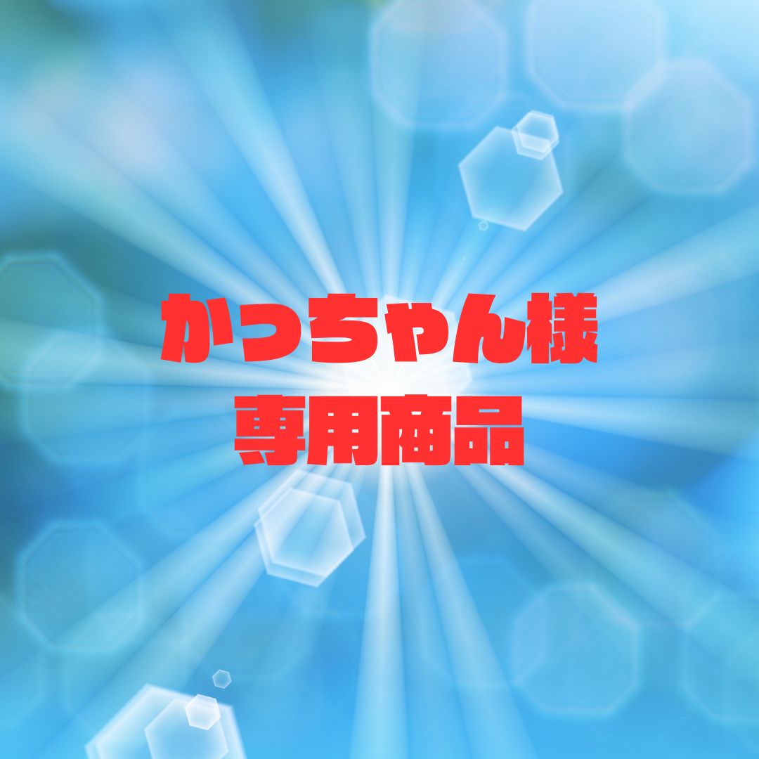 かっちゃん様専用ページ 新店様 専用ページ かっちゃん様専用ページ