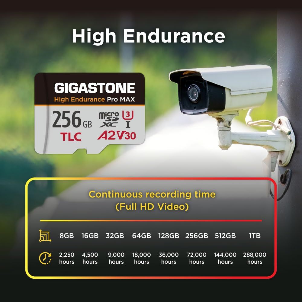 5年デｰタ復旧 GIGASTONE