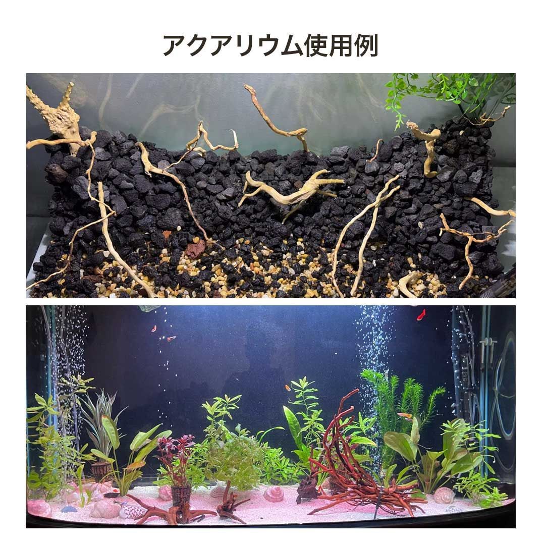 アクアリウム 流木 ーVer4ー 自然の流木の根 木の根 1束50gセット 極細 