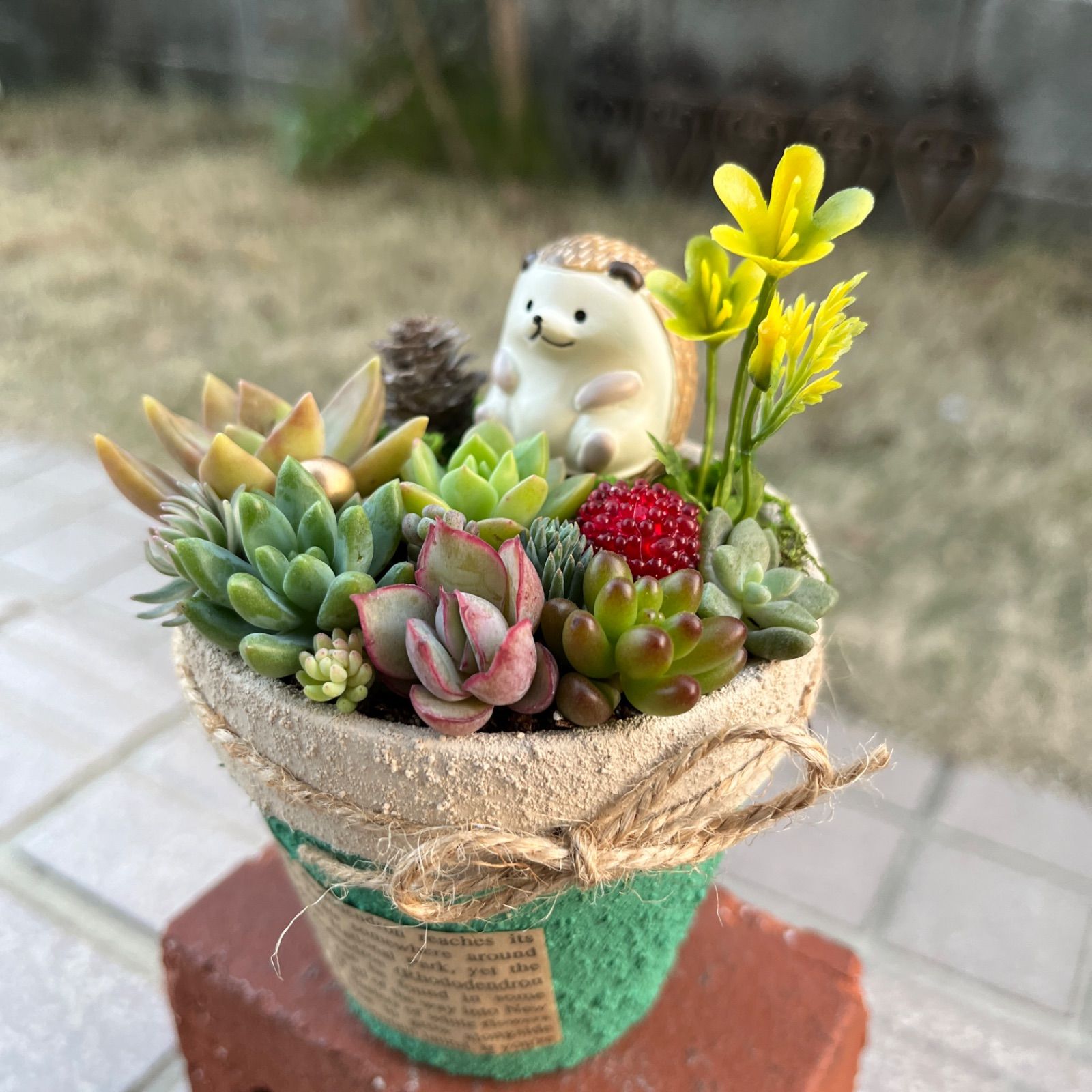 ♡そのまま飾れる♡リメ鉢♬はりねずみちゃんの多肉植物寄せ植え