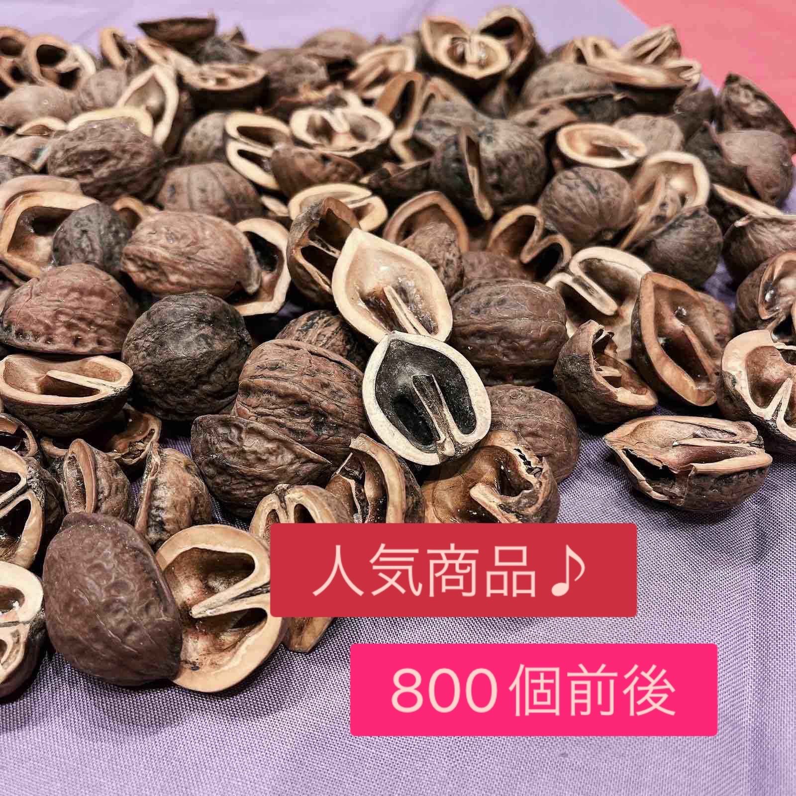鬼くるみ殻 ハーフ 800個前後 鬼胡桃殻 - メルカリ
