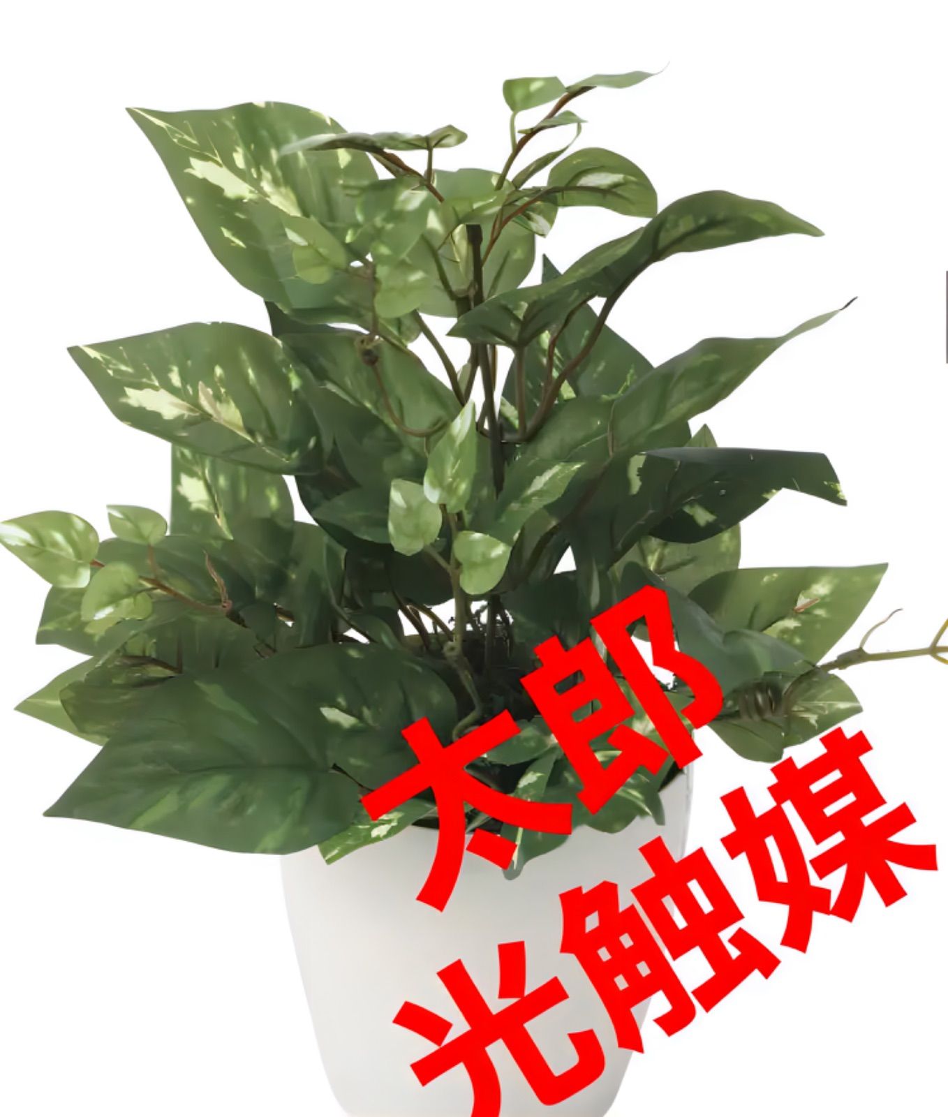 光触媒 人工観葉植物 ウォールグリーン フェイクグリーン ポトス2825 物凄い