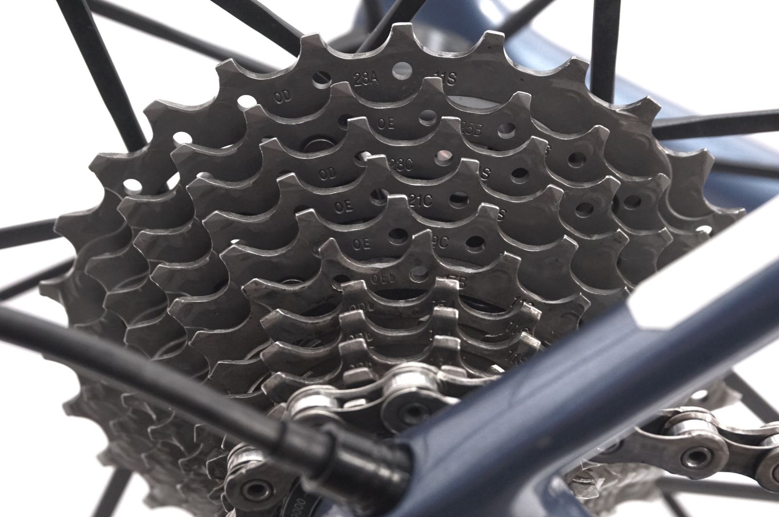 ジャイアント TCR