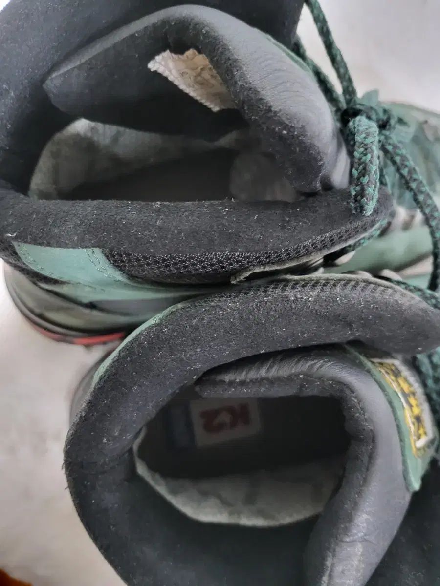 グリーン 250サイズ