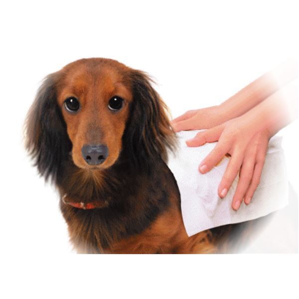 まとめ JOYPET ボディータオルペット用 お徳用 130枚 ペット用品 ×6セット