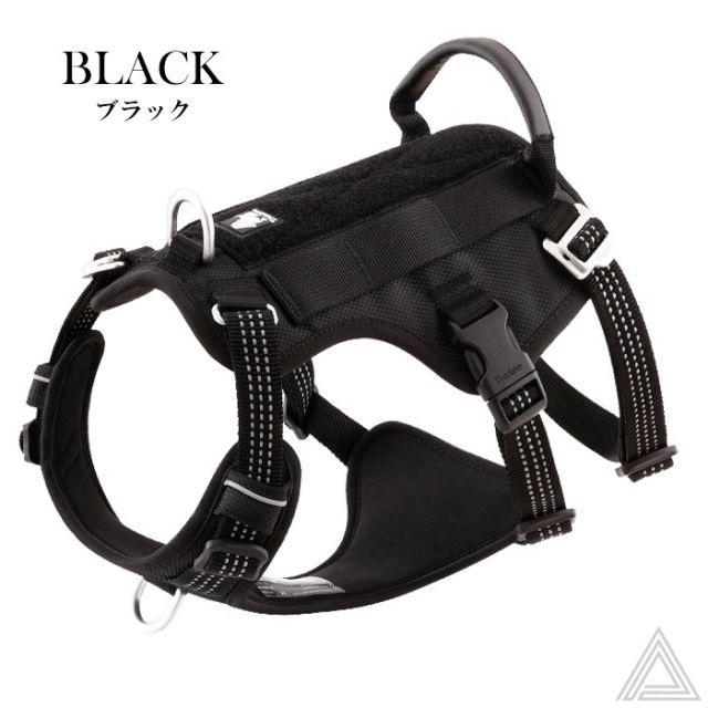 種類10 レッド|Mサイズ