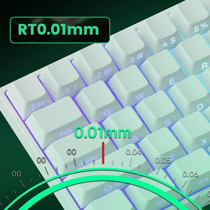 ストレートな MonsGeek モンスギーク FUN60 Pro SP 有線モデル HEセンサー 0.01mm ラピッドトリガー対応 磁気スイッチ Akko Glare Magnetic Switch 英語配列 テンキーレス サイドプリント 有 0 明日15時半まで