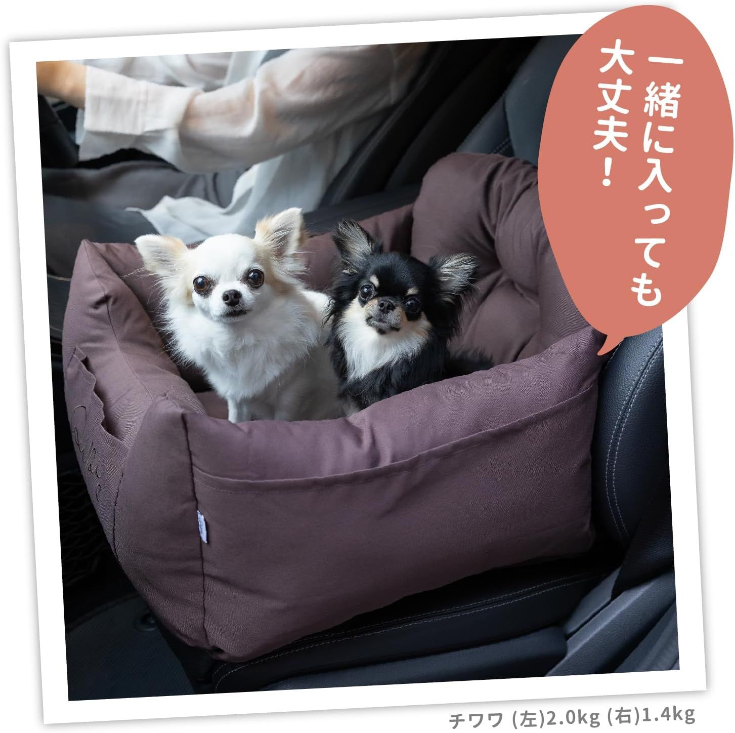 スリーアローズ pipiドライブベッド