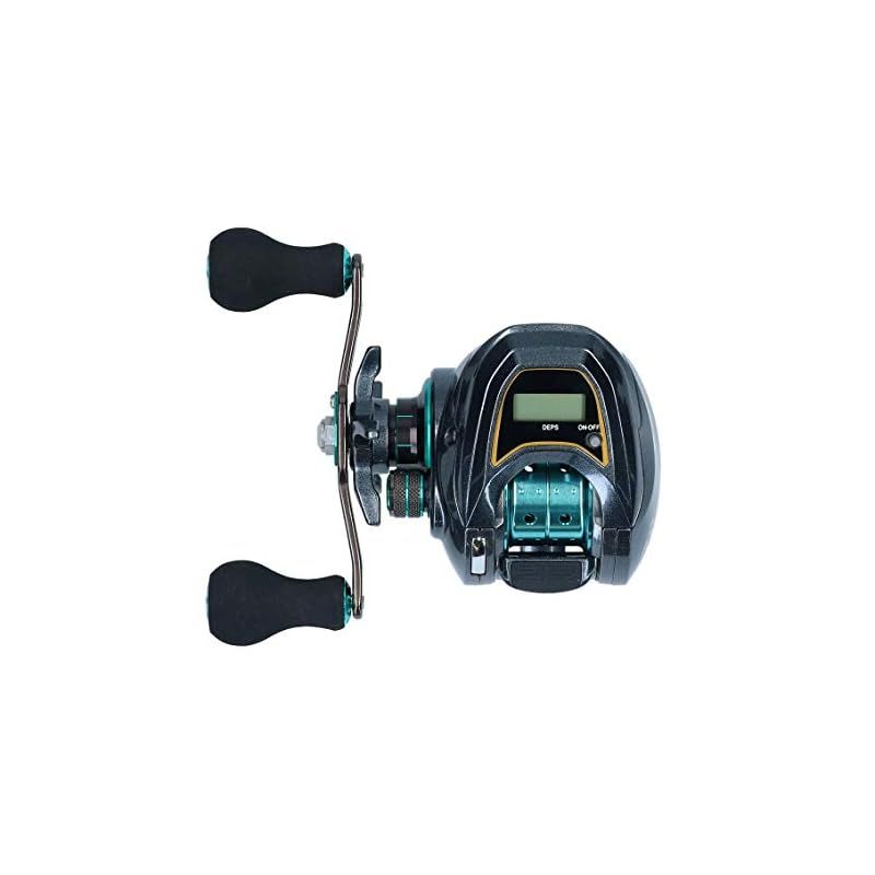 ダイワ(DAIWA) LIGHT SW X IC SS L カウンター付ベイトリール ブラック
