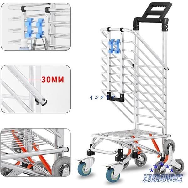 ブラック＆ブルー暗覆輪とスナグルトゥース の胴切り株 子株複数
