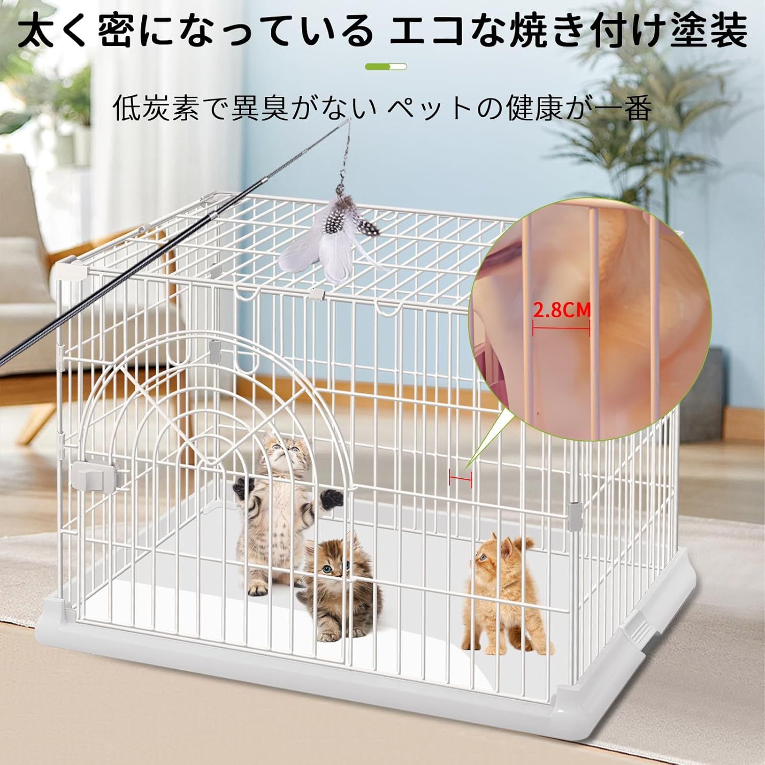 ケージ