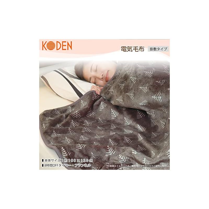 広電 KODEN 電気毛布 掛け 敷き 188×130cm フランネル グレイジュ 洗える スライド温度調節 室温センサー 8hOFF ダニ退治 CWB801G-HKK 0