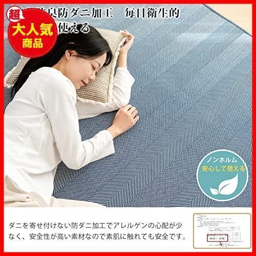 送料無料】ネイビー_185×235cm VK Living ラグ カーペット 夏用