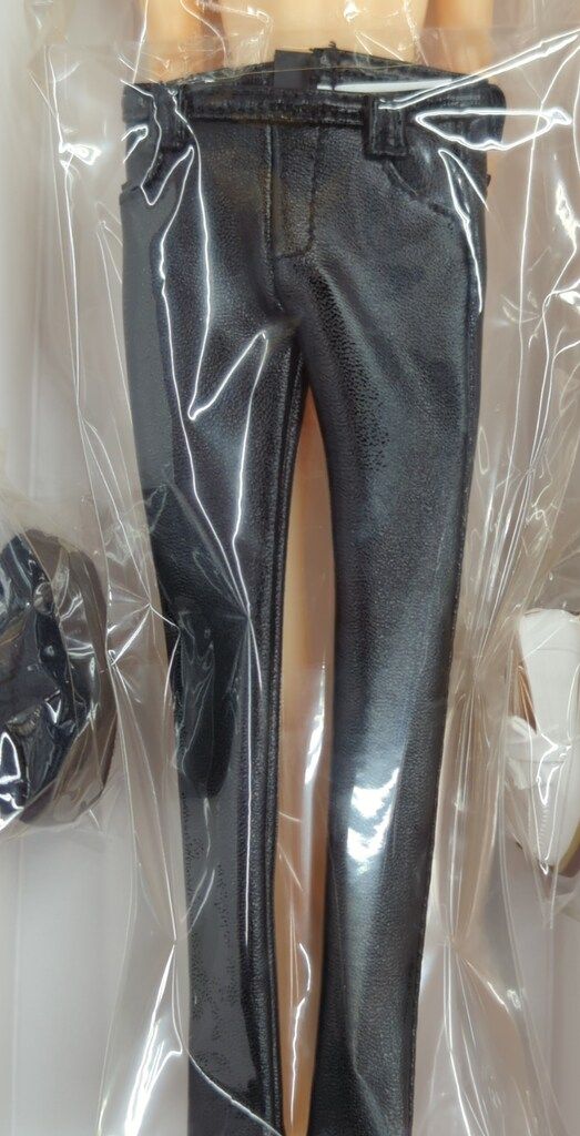 ペットワークス 六分の一男子図鑑 エイト パンクスタイル