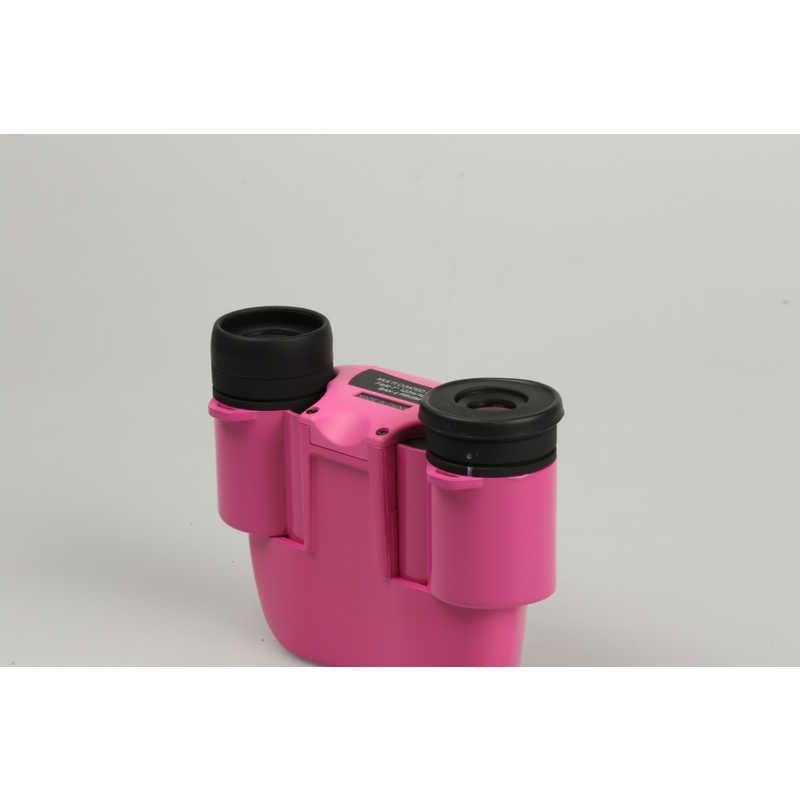 新品 未開封 】 ケンコー 8倍双眼鏡 ウルトラビューBC BC8X21MCPK