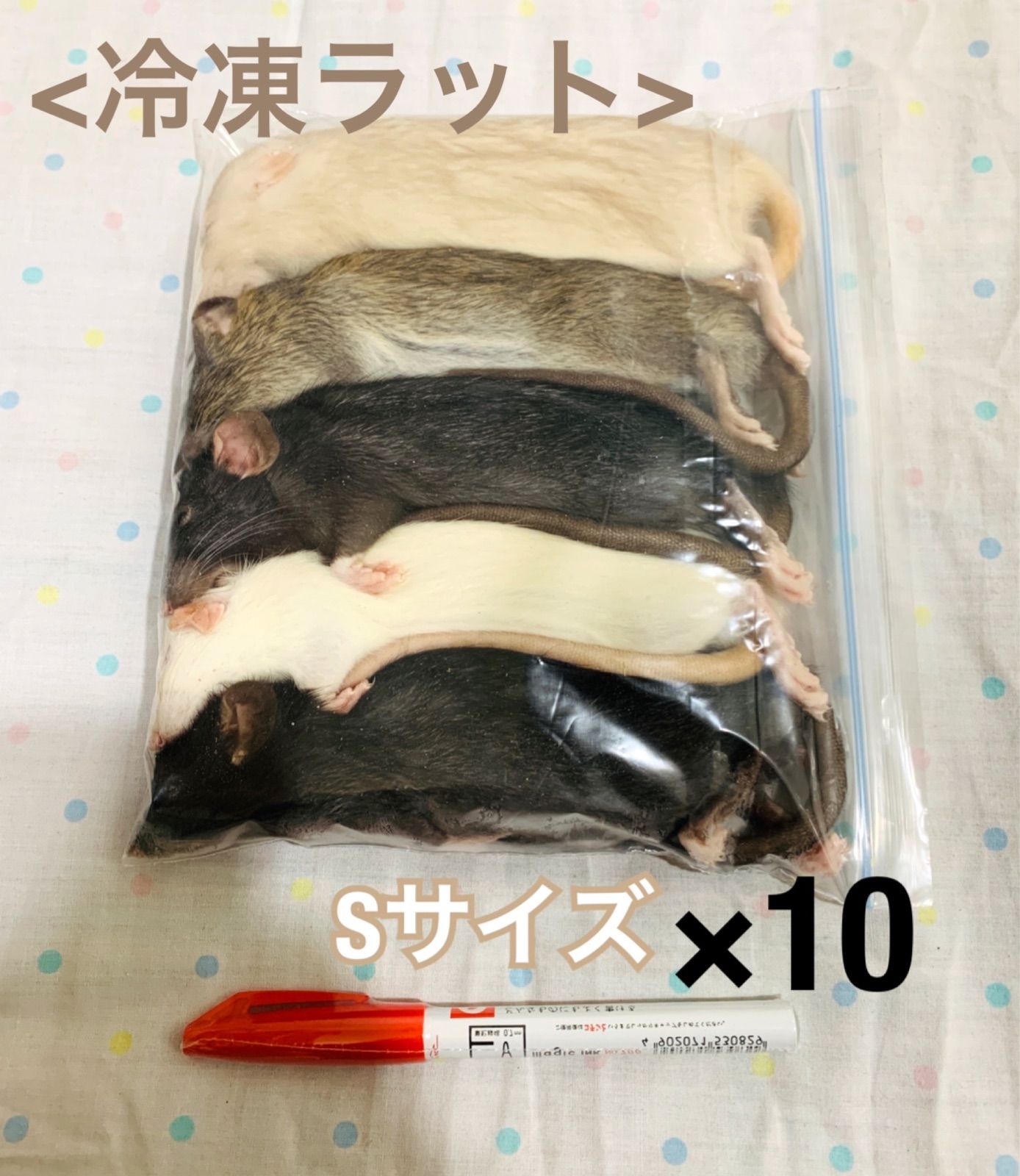 Sサイズ 冷凍ラット 10袋