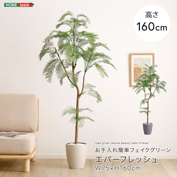 お手入れ簡単フェイクグリーン エバーフレッシュ Mサイズ 2801