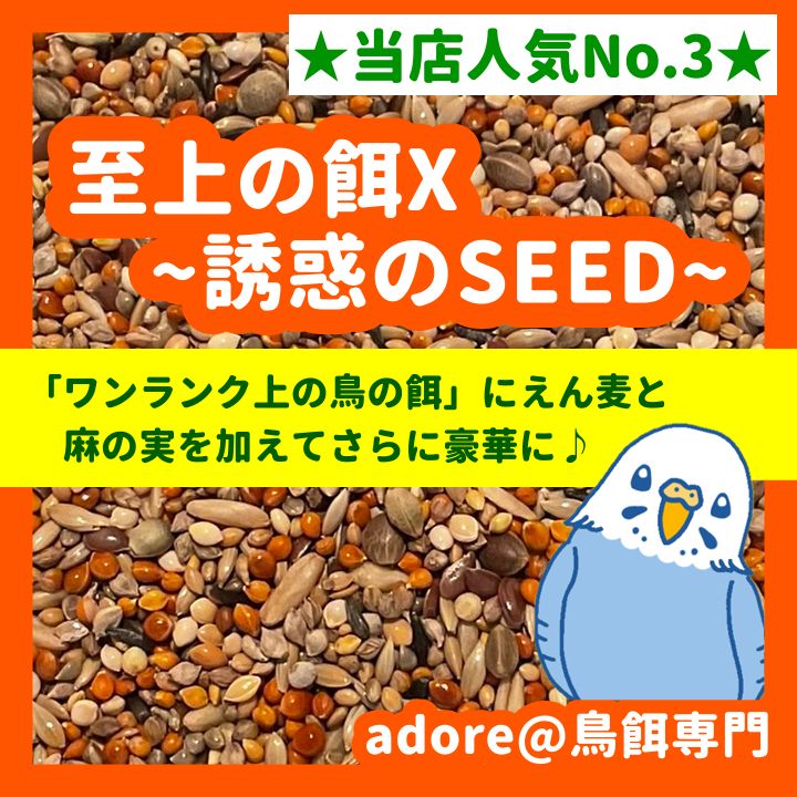 うめもも様専用】鳥の餌セット 鳥用品