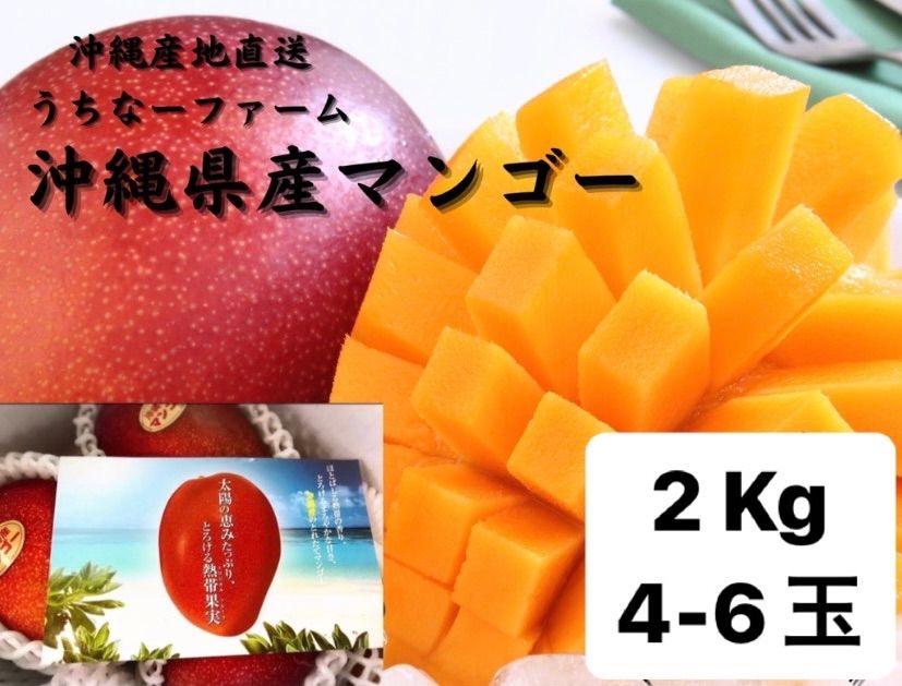 【先約期間限定価格】沖縄産地直送クール便込！【完熟マンゴー】2Kg(4~6玉)